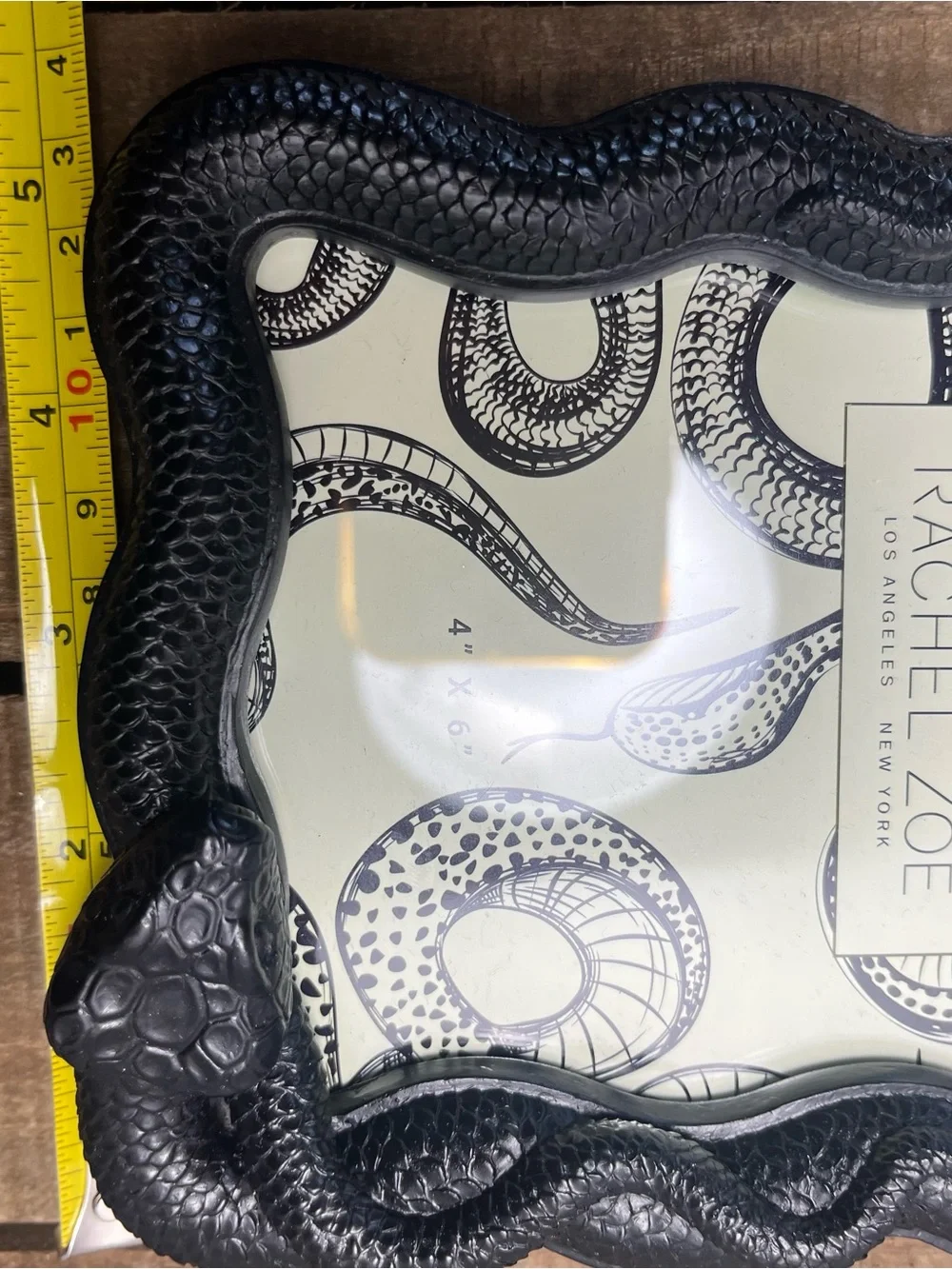 Gothic Black Snake 4 x 6 Picture Frame Halloween Grunge Devil Serpent Wicked